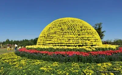 imagens jigsaw puzzle