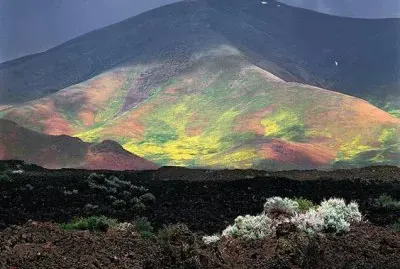 פאזל של imagens