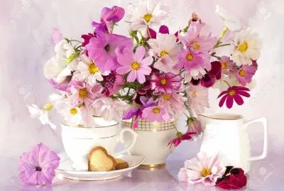 Lovely Flowers with a Cup of Kosmeya- ART