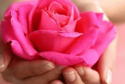 imagens jigsaw puzzle