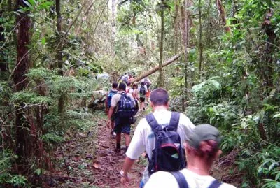 Trilha da Pirapitinga