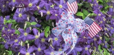 פאזל של Purple Clematis and Flags
