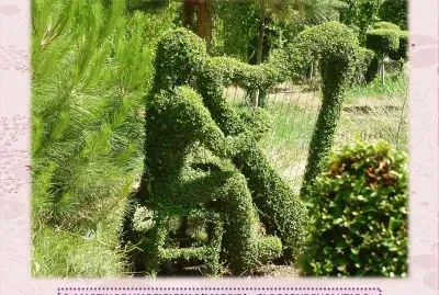 S. MARTIN DE VALDEIGLESIAS â€“ EL BOSQUE ENCANTADO