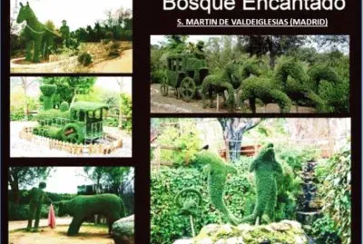 EL BOSQUE ENCANTADO - S. MARTÃN DE VALDEIGLESIAS
