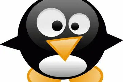 PingÃ¼ino- Tux, Linux.png jigsaw puzzle