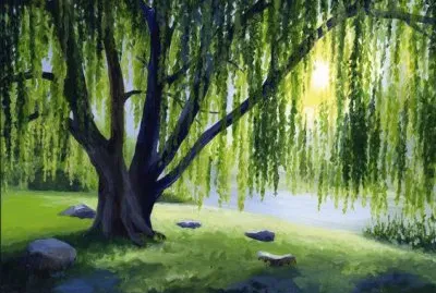 todo paisaje jigsaw puzzle