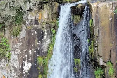 פאזל של imagens