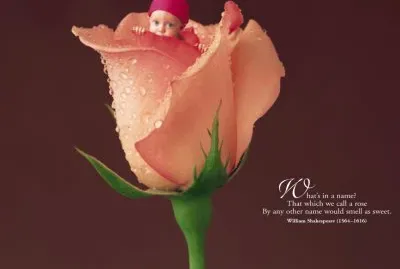 פאזל של boccioli
