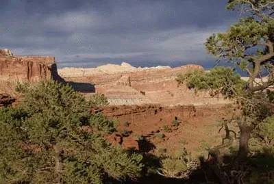 Capitol Reef Colorado