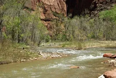 Zion jigsaw puzzle