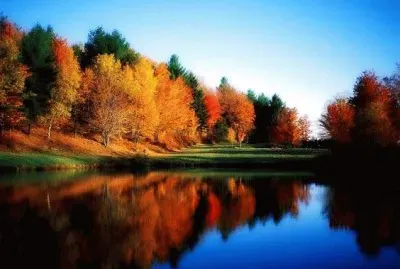 todo paisaje