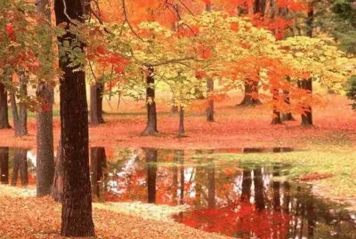 todo paisaje jigsaw puzzle