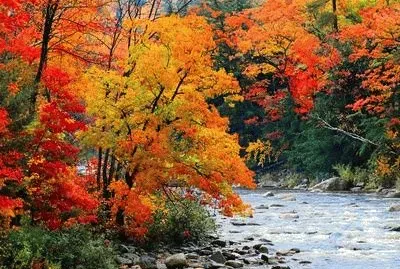 todo paisaje jigsaw puzzle