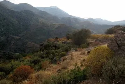 פאזל של CRETE-1