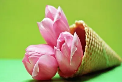 Flor del TulipÃ¡n- Cono de Helado.jpg jigsaw puzzle
