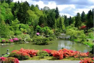 todo paisaje