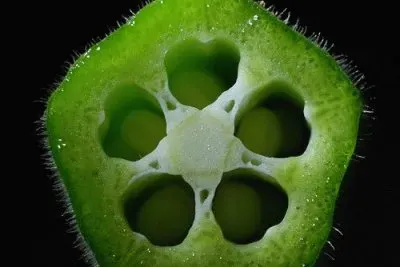 todo paisaje jigsaw puzzle