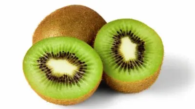 disfrutar jigsaw puzzle