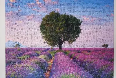Puzzle- Resuelto- Acabado. jigsaw puzzle