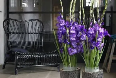 imagens jigsaw puzzle