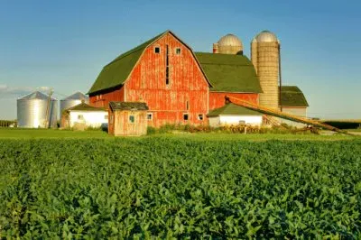 NATUREZA jigsaw puzzle
