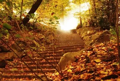 autumn 171