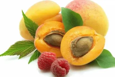 Alimento-Apricot.