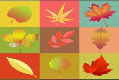 OtoÃ±o- hojas,caÃ­da de follaje.jpg jigsaw puzzle