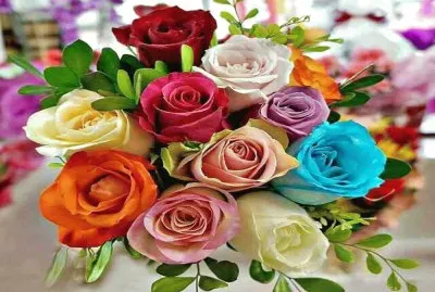 rosas