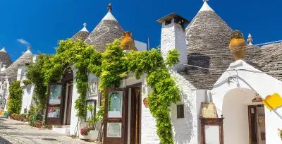 todo paisaje jigsaw puzzle