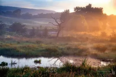 Dawn mist jigsaw puzzle