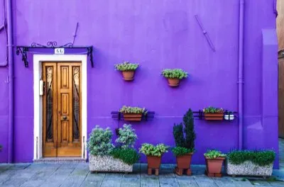 todo paisaje