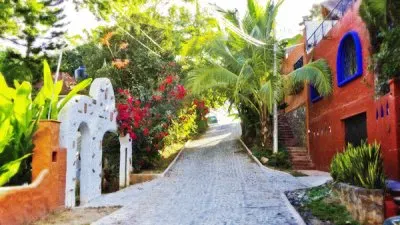 todo paisaje