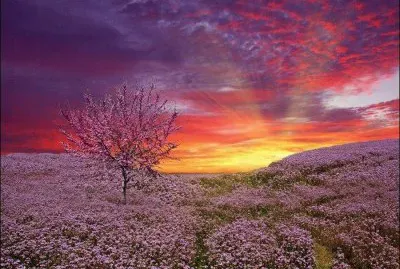 imagens jigsaw puzzle