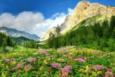 imagens jigsaw puzzle