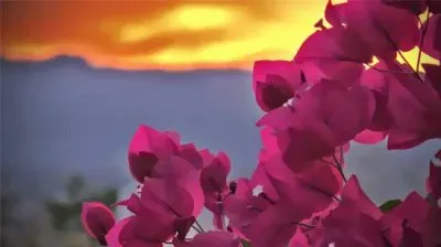 פאזל של Flores de Santa Rita