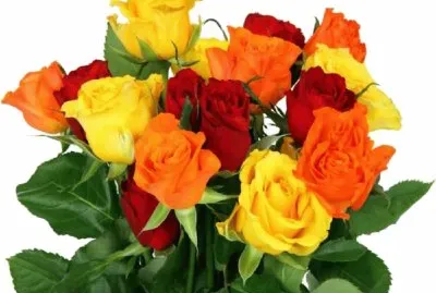 Colorido- Ramo de rosas.