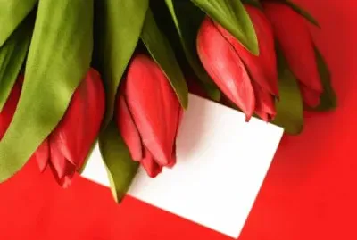 Flores de tulipanes. jigsaw puzzle