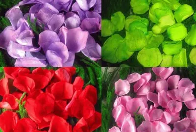 פאזל של PÃ©talos de Colores