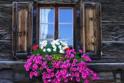 פאזל של Ventana