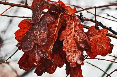 images jigsaw puzzle