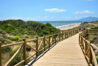todo paisaje