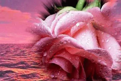 פאזל של imagens