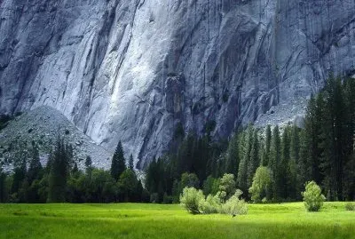 nature jigsaw puzzle