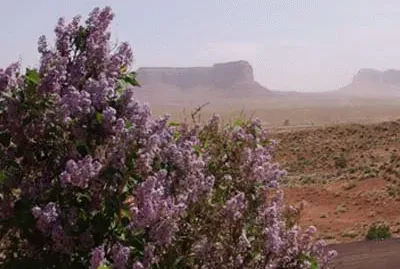 פאזל של Monument Valley