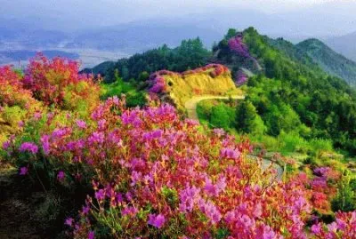 imagens jigsaw puzzle