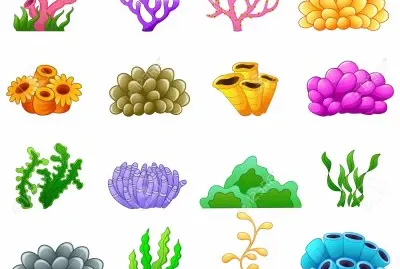 CORAL