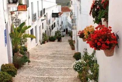 todo paisaje