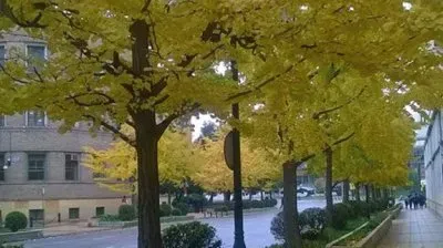 todo paisaje jigsaw puzzle