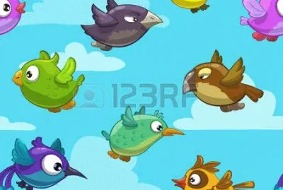 pajaro